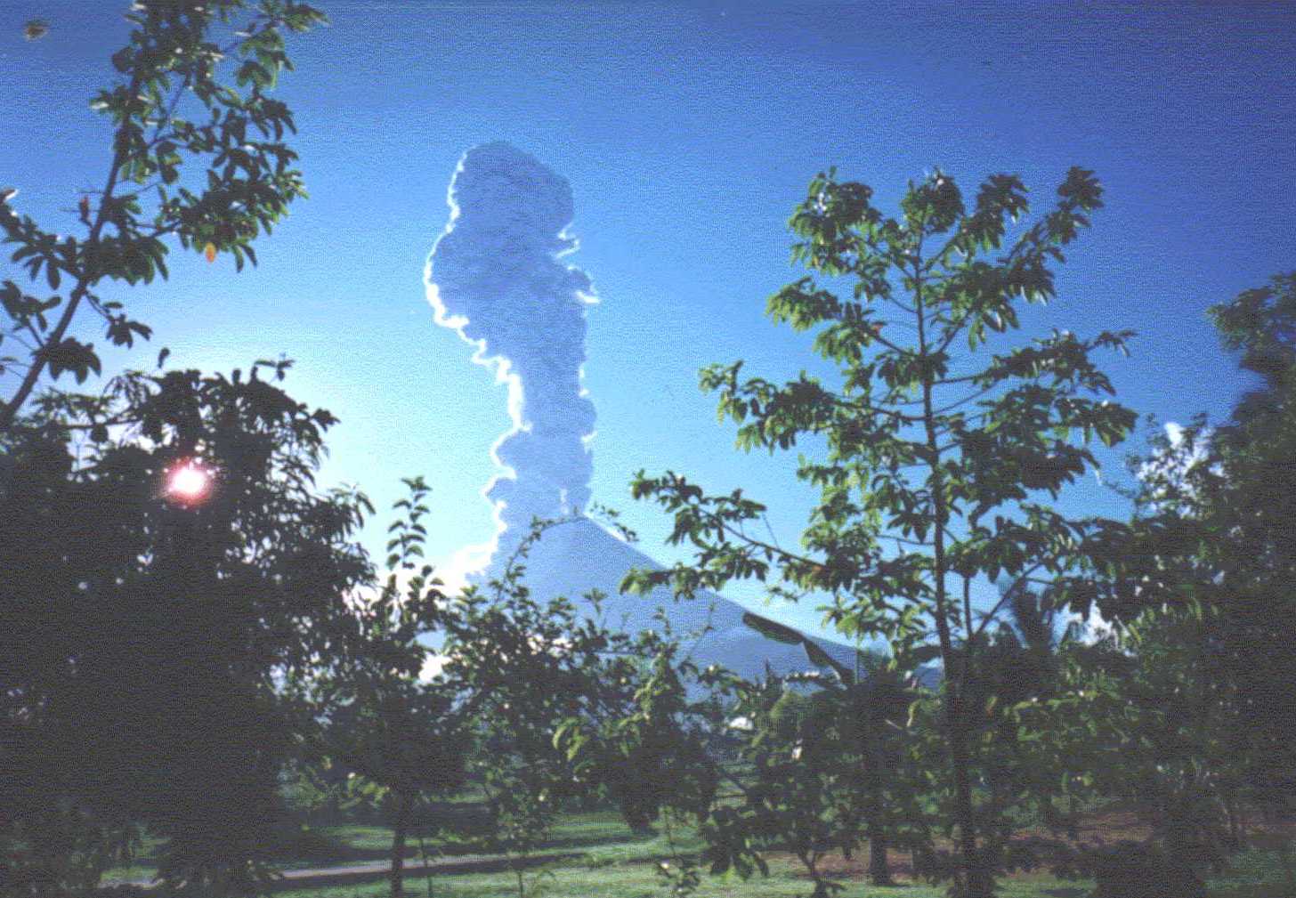 mayonerupt.jpg (174418 bytes)
